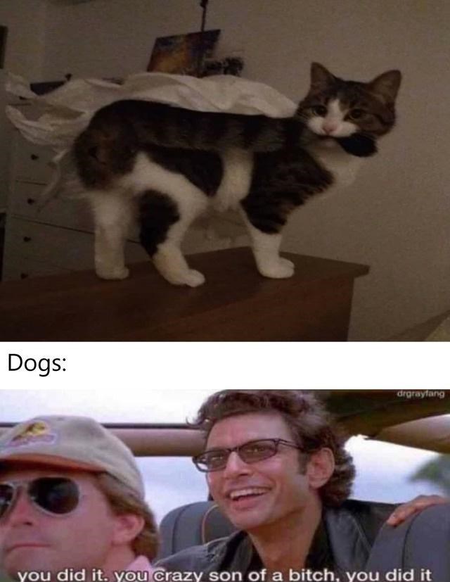 the+impossible+proves+possible+after+all