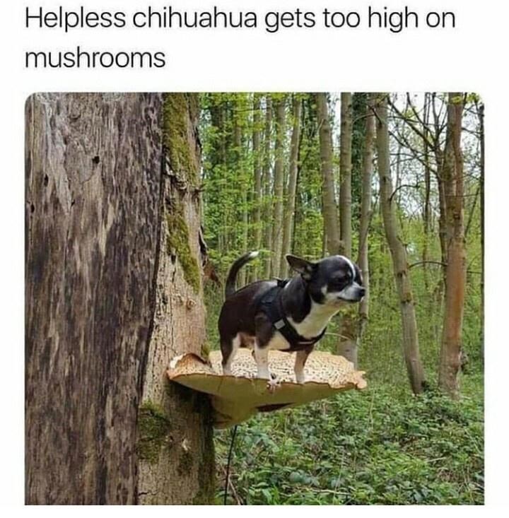 someone+help+him+come+down