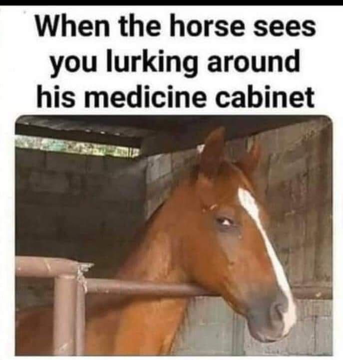 what+ya+lookin%26%238217%3B+for%2C+buddy%3F