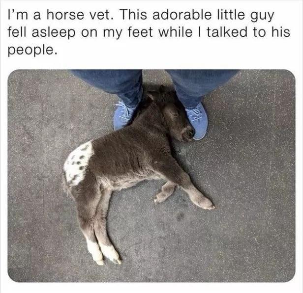 the+cutest+little+napper