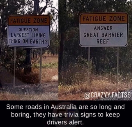 i+hope+they+change+the+questions+every+now+and+then%21