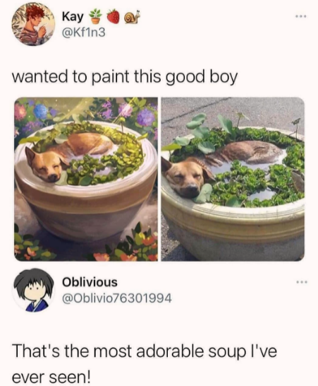 adorable+soup