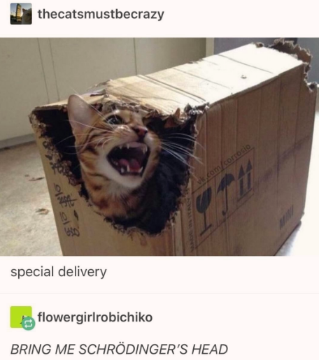 that+answers+that+question