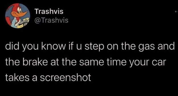 has+anyone+tried+this%3F