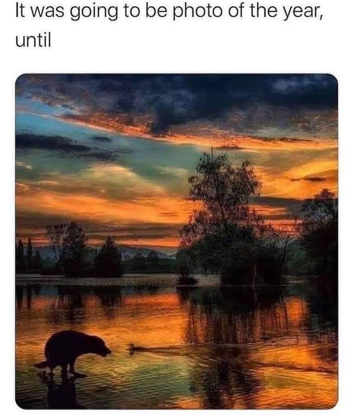 when+ya+gotta+go%26%238230%3B+you+know+the+rest