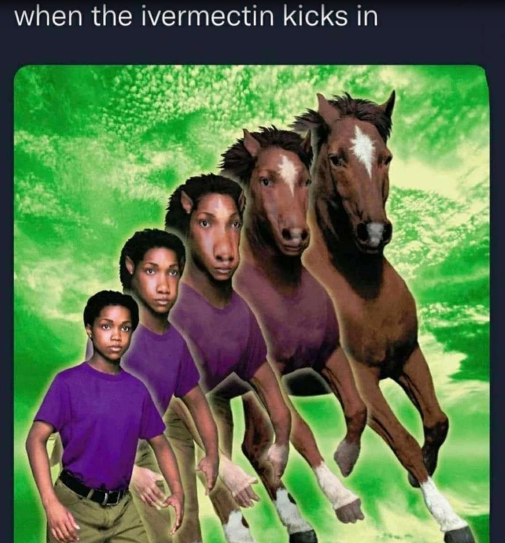 we%26%238217%3Bre+living+in+an+animorphs+book