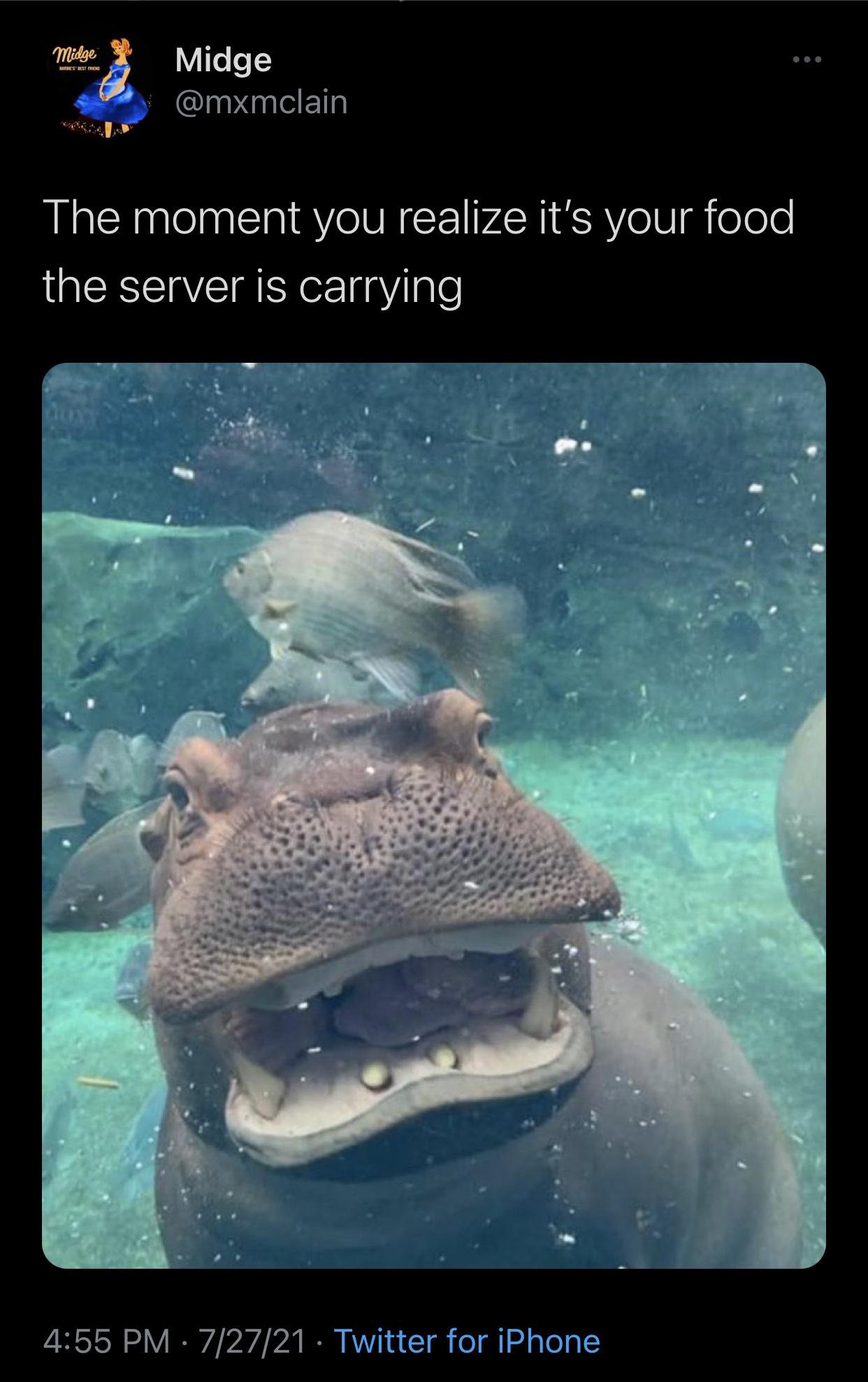 best+moment+of+the+meal%2C+honestly