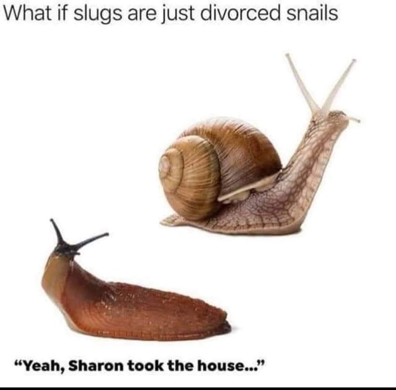 sharon+left+him+with+him+nothing