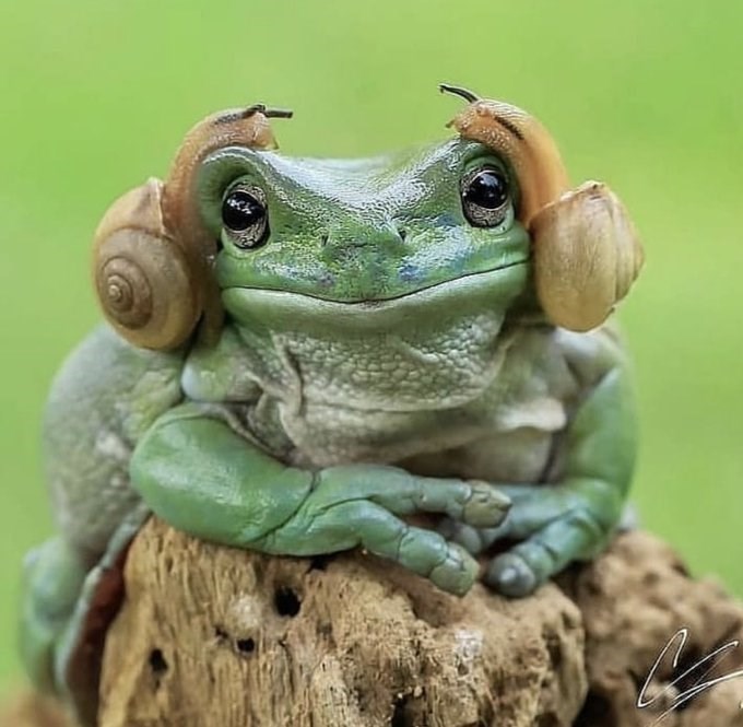 you%26%238217%3Bre+our+only+hope