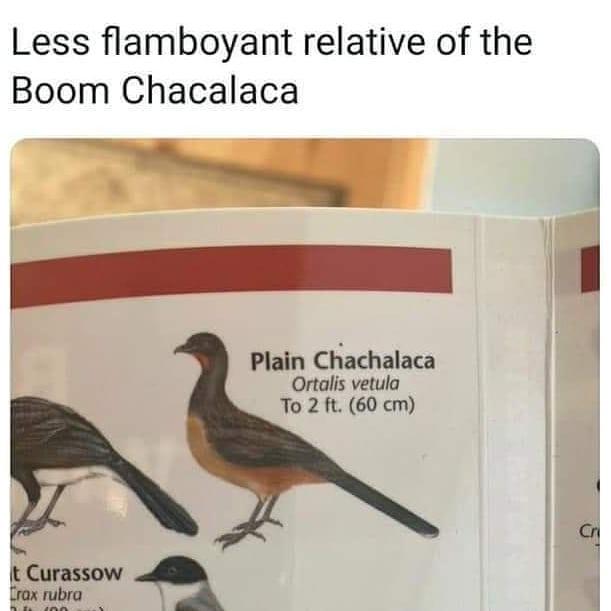 terrible+at+making+small+talk