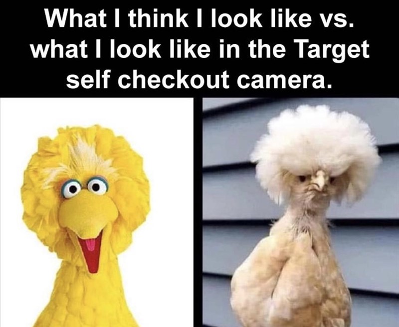 i%26%238217%3Bm+pretty+on+the+inside