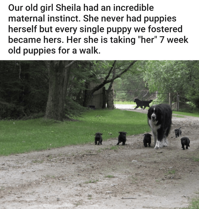 she+loves+them+all+equally