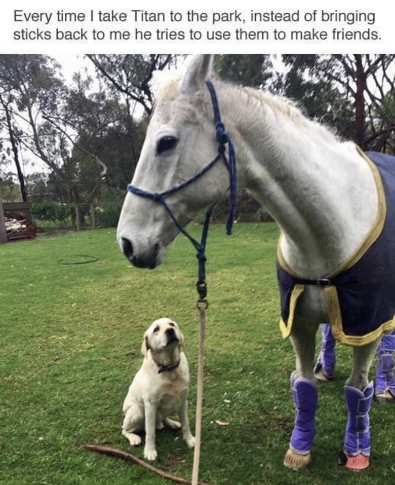 can+we+be+friends%2C+please%3F