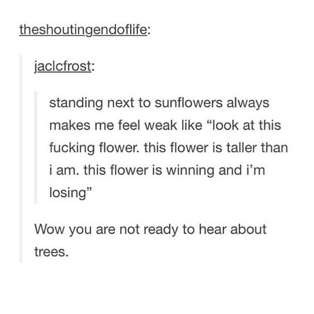 you+are+not+ready+to+learn+about+trees