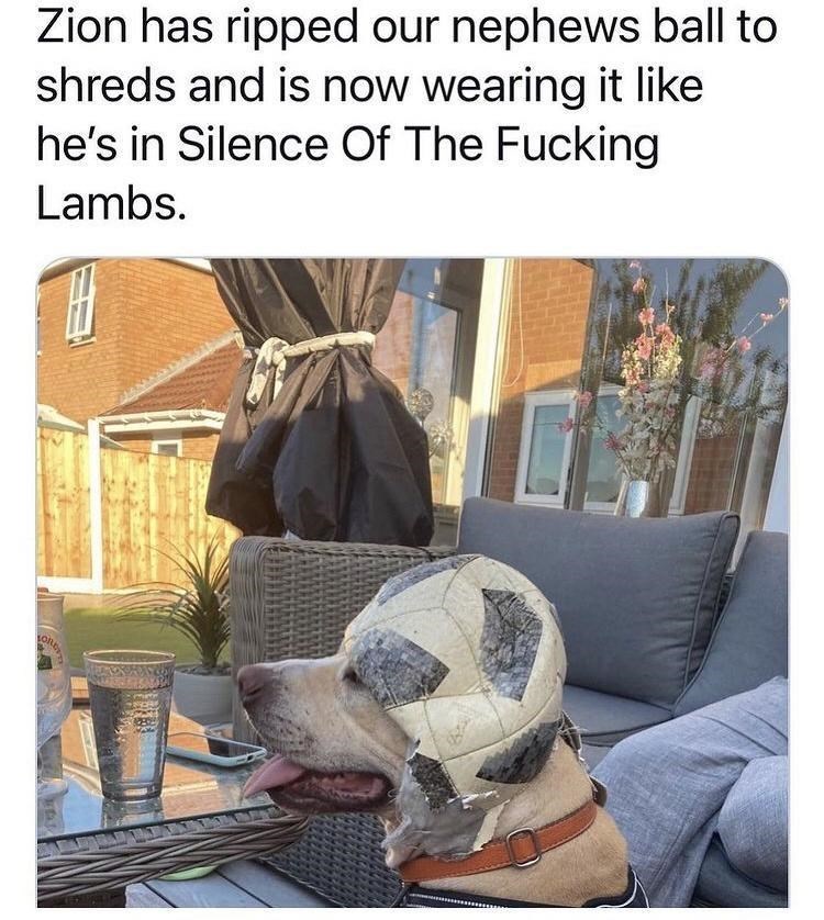 he%26%238217%3Bs+ready+to+go+to+war