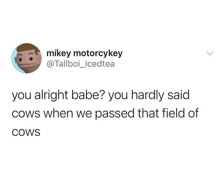 is+everything+okay%3F