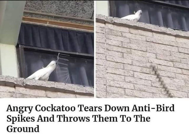 one+star+product+review