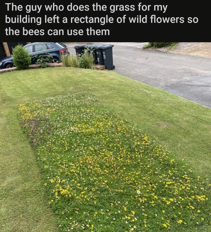 don%26%238217%3Bt+forget+the+bees%21