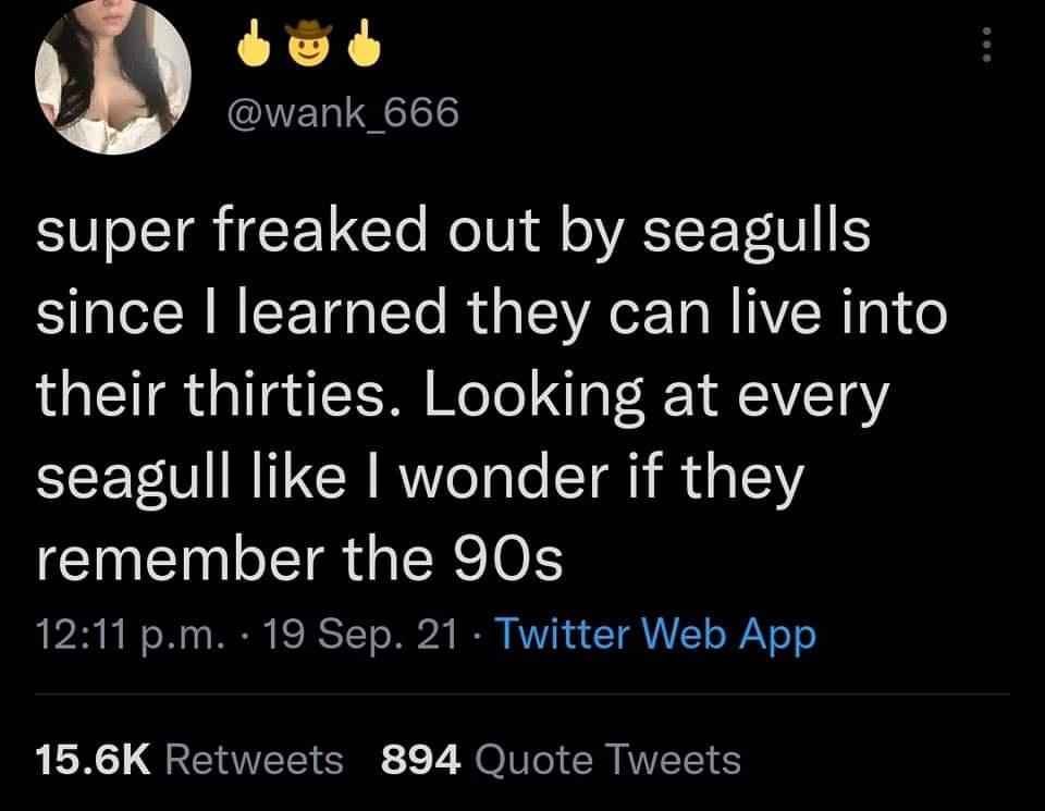 they+grew+up+on+saved+by+the+bell%2C+too