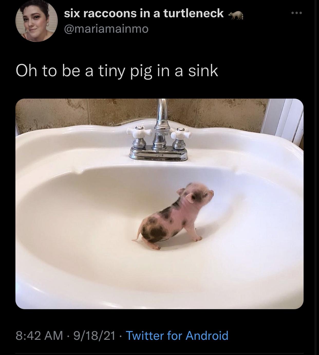 never+give+up+on+your+dreams