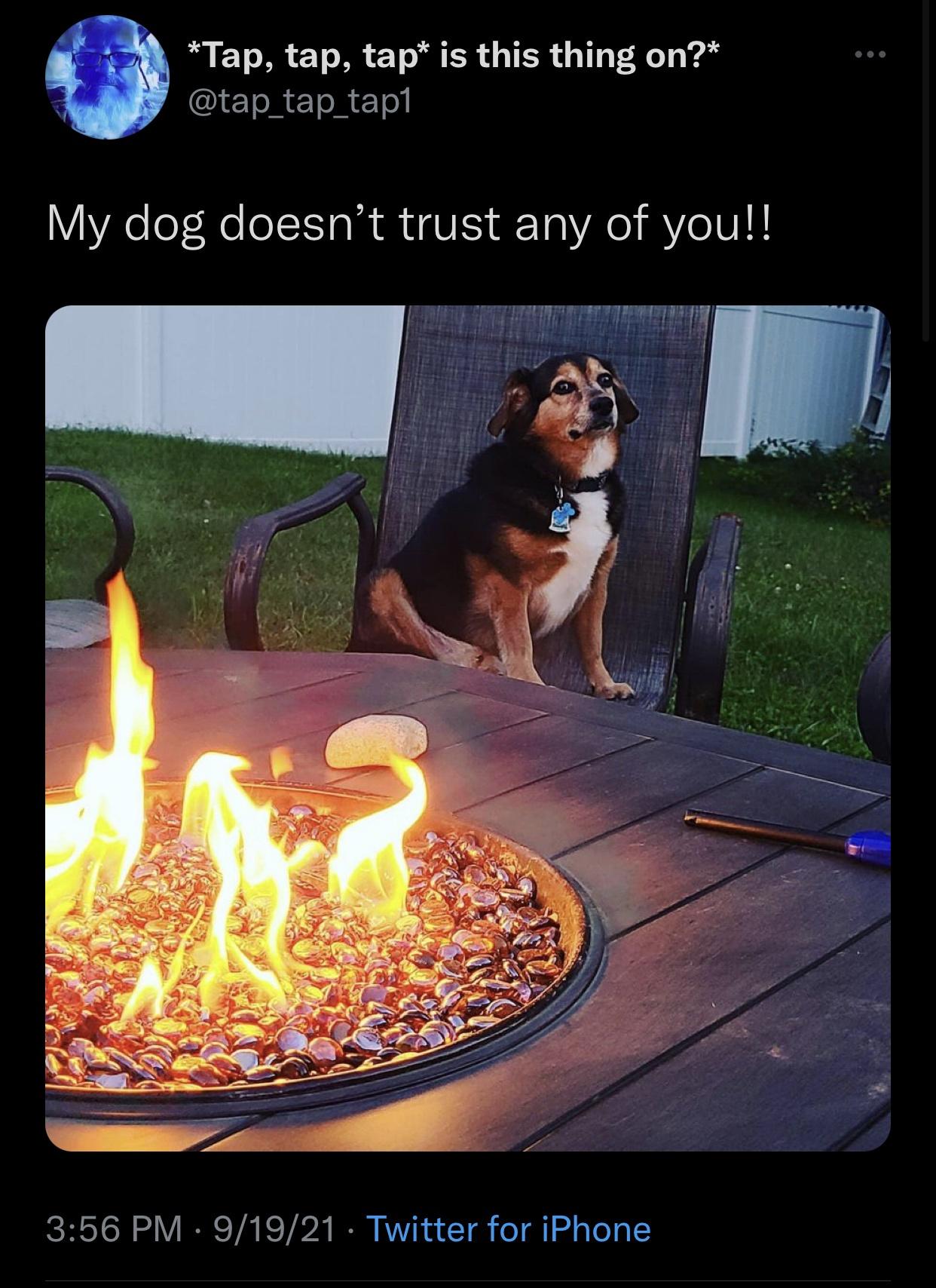 i+don%26%238217%3Bt+trust+any+of+you+either