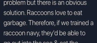 raccoon+navy