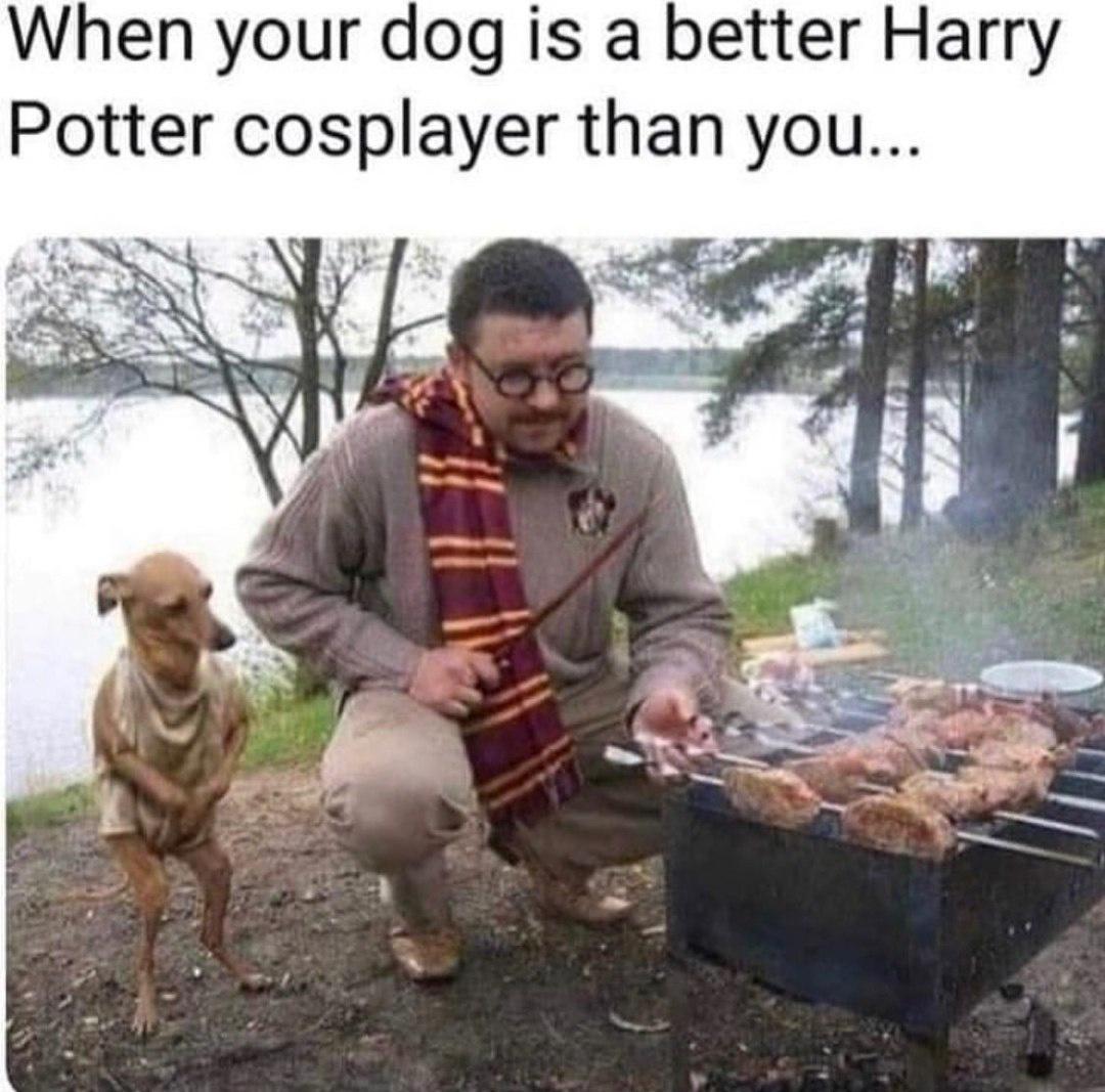 the+pooch+has+a+gift+for+cosplay