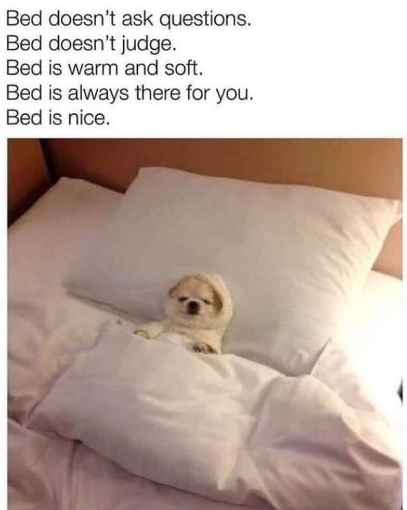 bed+is+friend