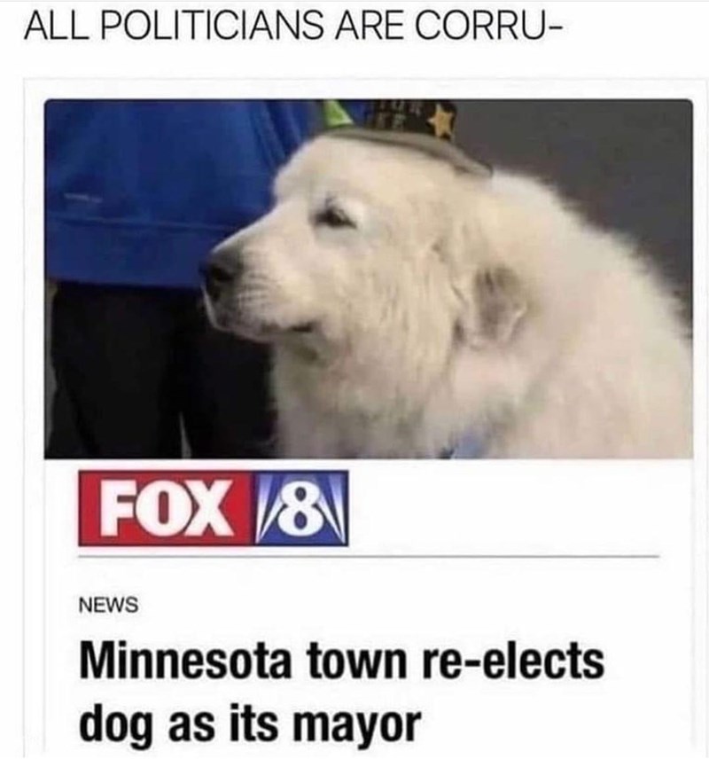 don%26%238217%3Bt+be+fooled+by+his+canine+charms