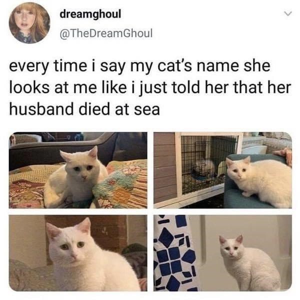 she+can+still+hear+his+cries+when+the+window+is+open+at+night