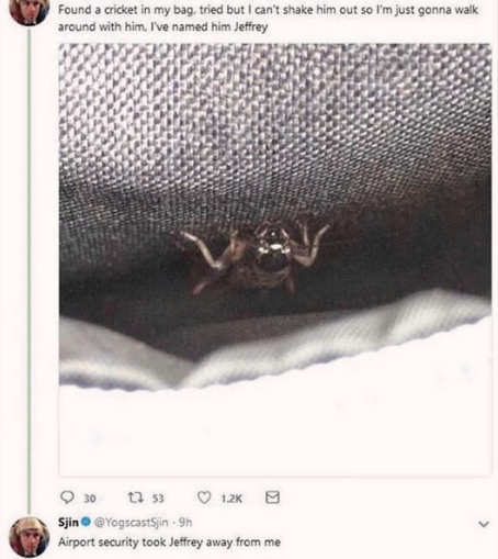 goodbye+Jeffrey%2C+you+were+my+best+friend