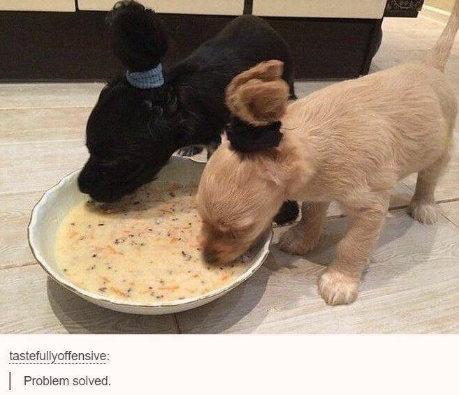 sometimes+you+just+gotta+pull+the+ears+back