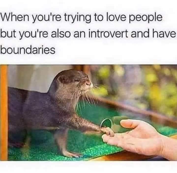 we%26%238217%3Bre+all+just+introverted+otters+on+the+inside