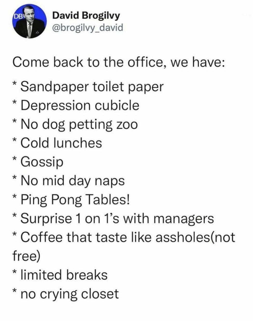 come+back+to+the+office+they+said%2C+it%26%238217%3Bll+fun+they+said