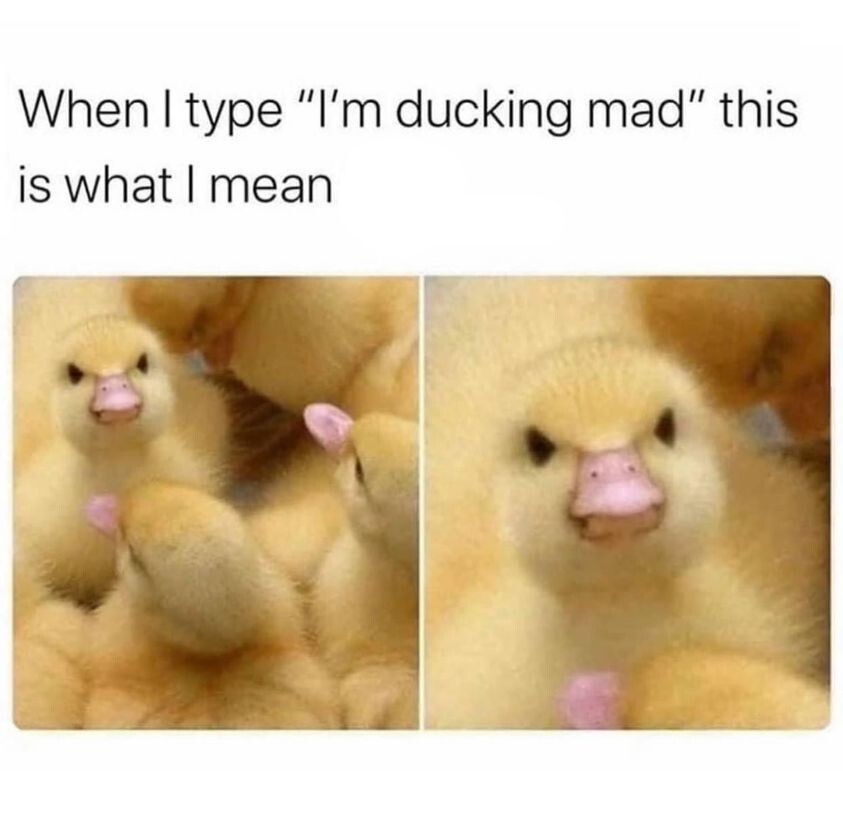 i%26%238217%3Bm+so+ducking+mad+right+now