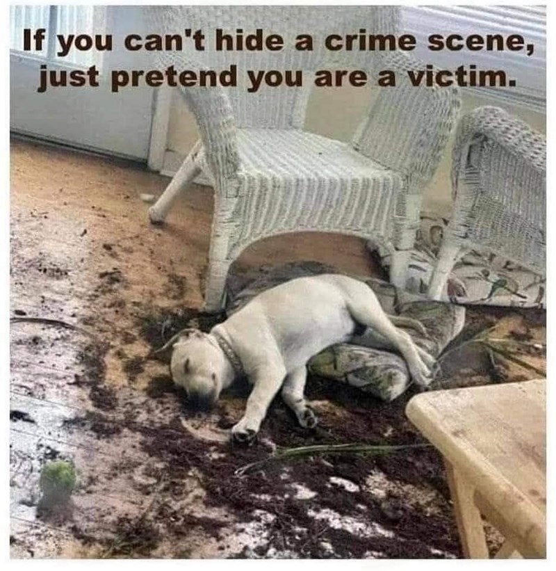 he%26%238217%3Bs+innocent