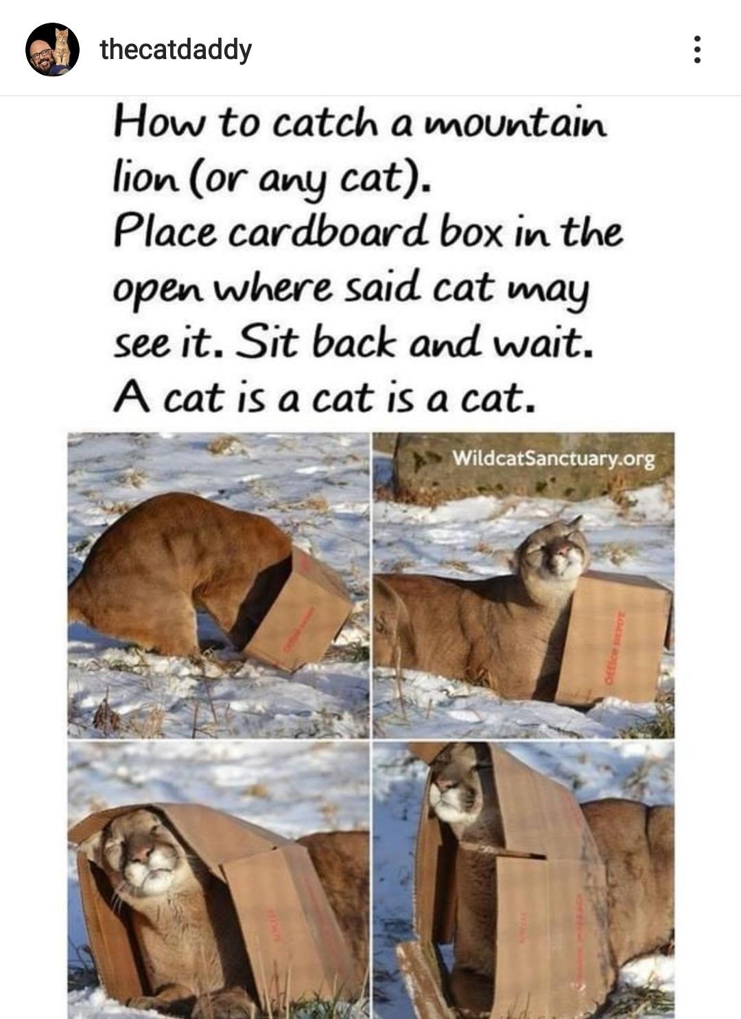 i+don%26%238217%3Bt+have+to+fits+to+sits