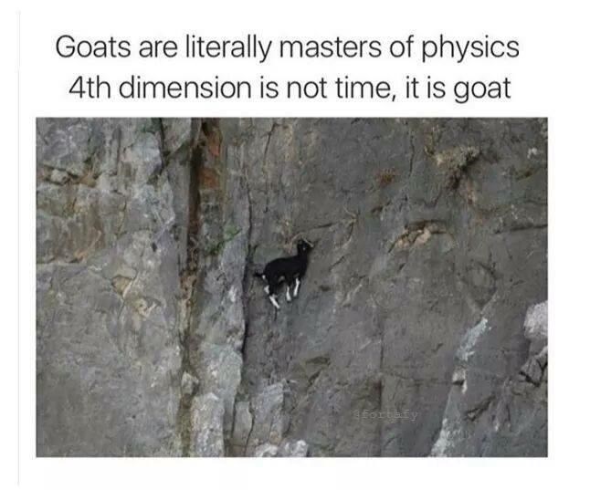 goats+don%26%238217%3Bt+believe+in+physics