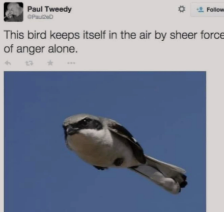 sheer+force+of+anger+alone