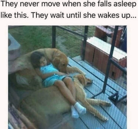 they+love+her+so+much