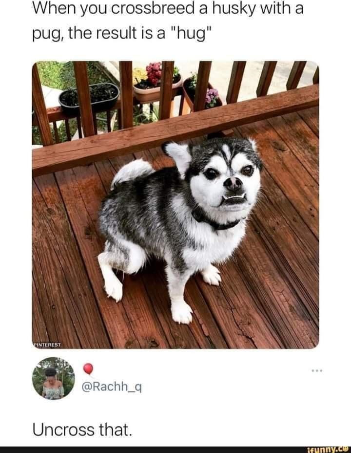 a+hug+with+the+devil