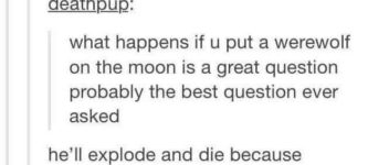 let%26%238217%3Bs+send+a+werewolf+to+the+moon%21