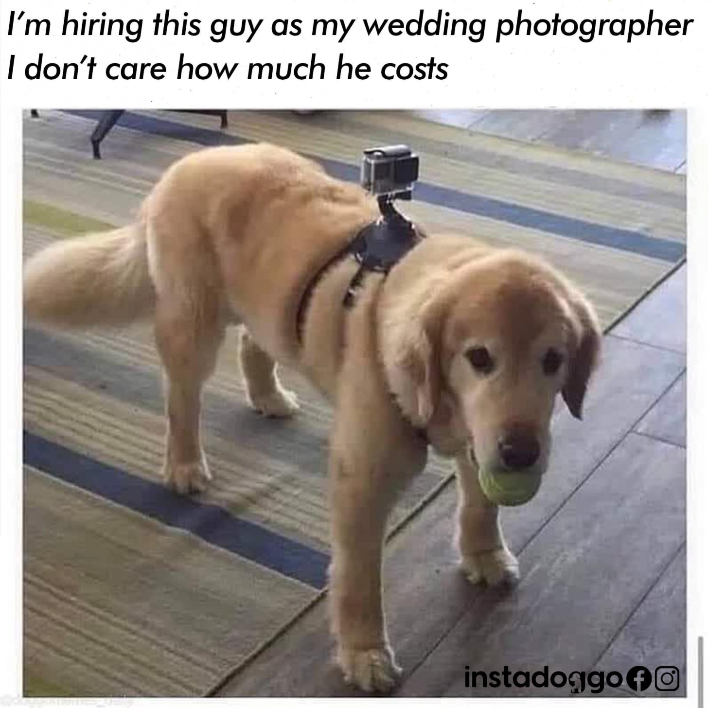 i%26%238217%3Bll%26%238217%3Bll+pay+him+whatever+he+wants