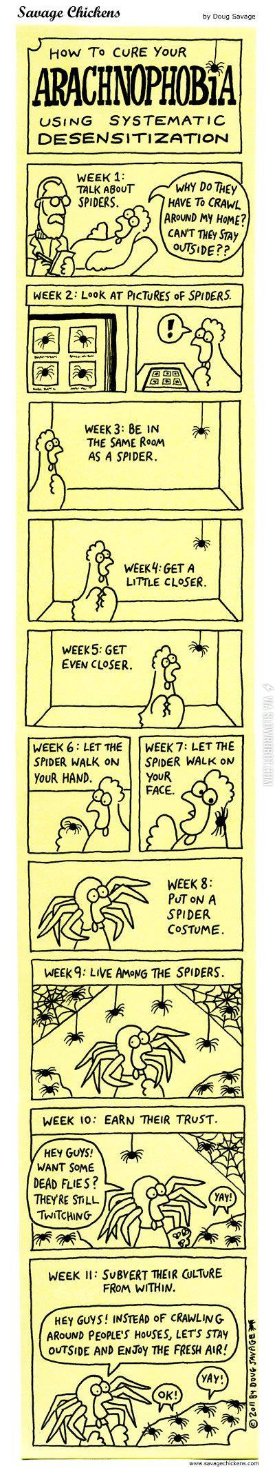 How+to+cure+your+arachnophobia.