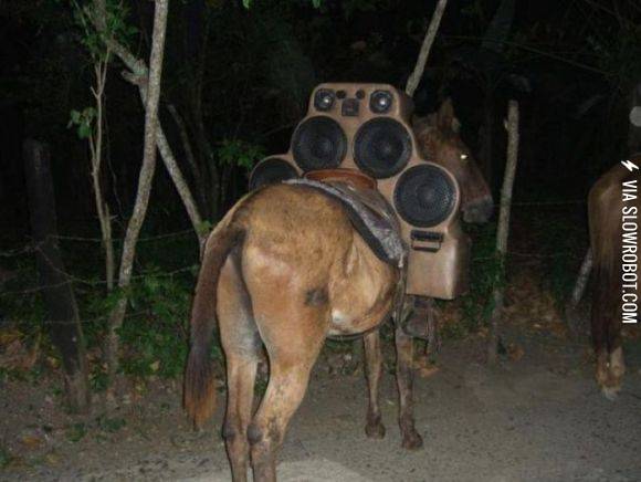 They+see+me+rollin%26%238217%3B.+They+hatin%26%238217%3B.