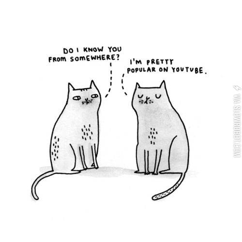 Do+I+know+you+from+somewhere%3F