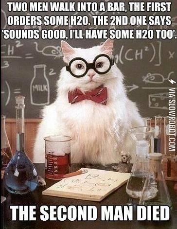 Chemistry+cat.