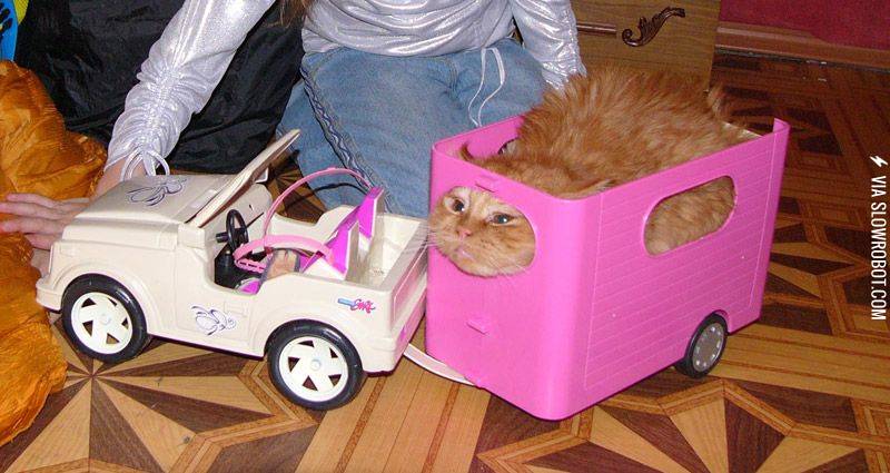 Take+me+to+the+mall%21%21%21