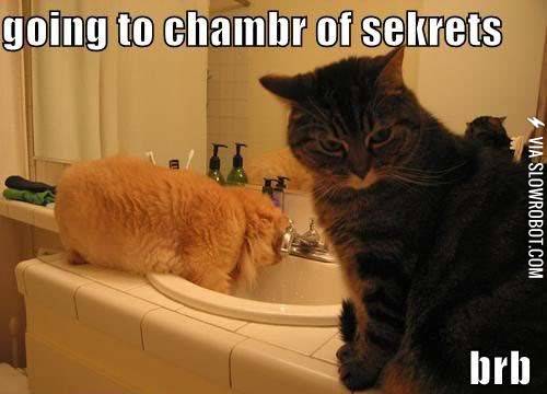 Going+to+chambr+of+sekrets.+brb.