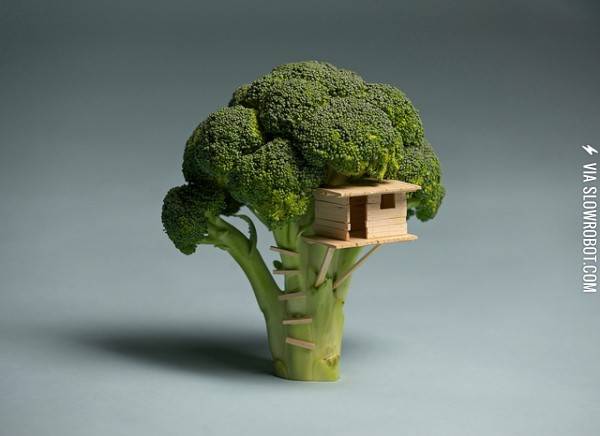 My+dad+built+me+a+treehouse.